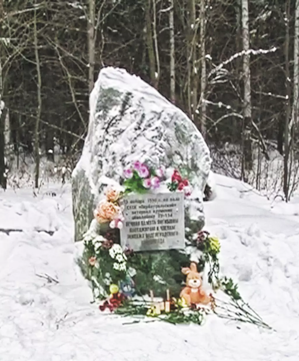 Авиакатастрофа Ил-18 под Ленинградом