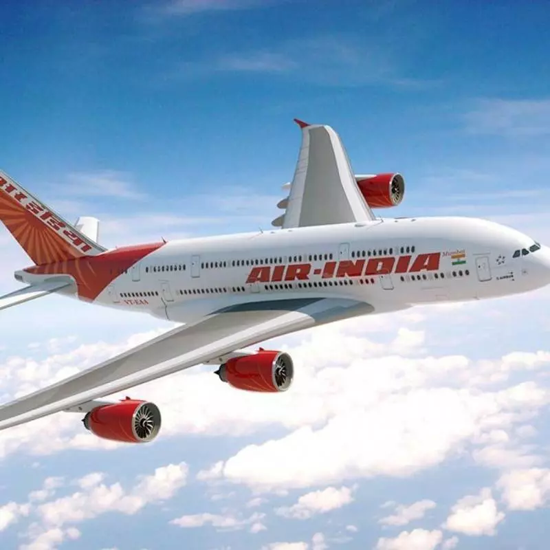 Авиакомпании — представители индийских авиалиний