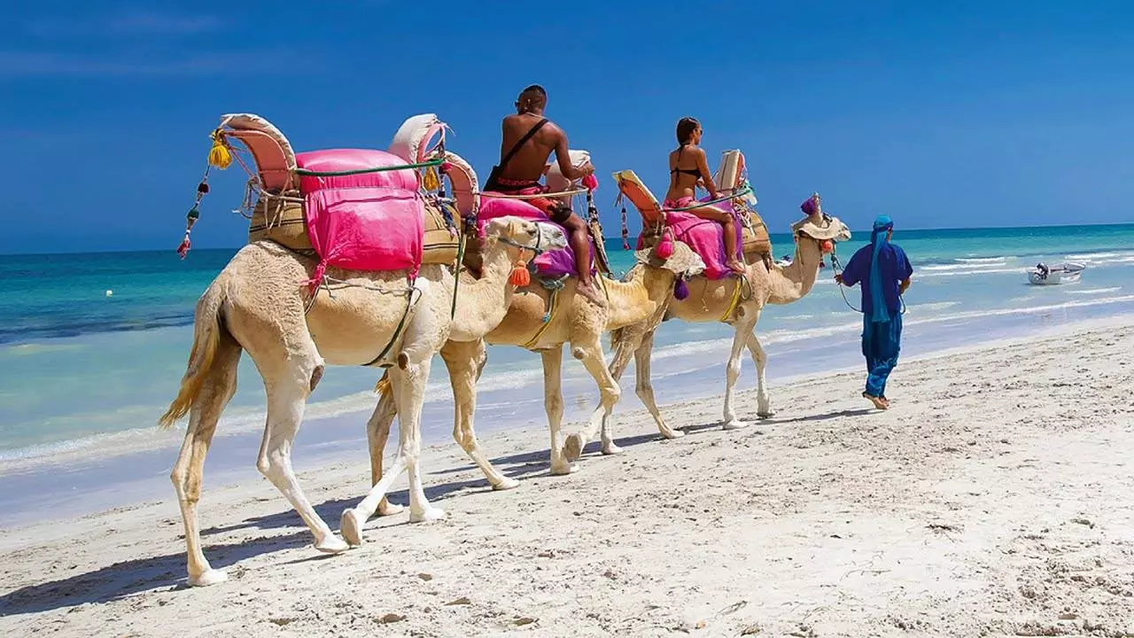 В какой город туниса лучше поехать отдыхать?