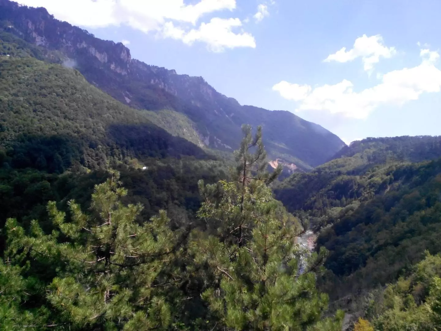 Природа города Будвы