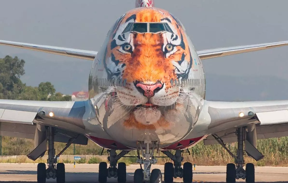 Что такое «Тигролет» (авиакомпания Россия) и зачем ему такая раскраска