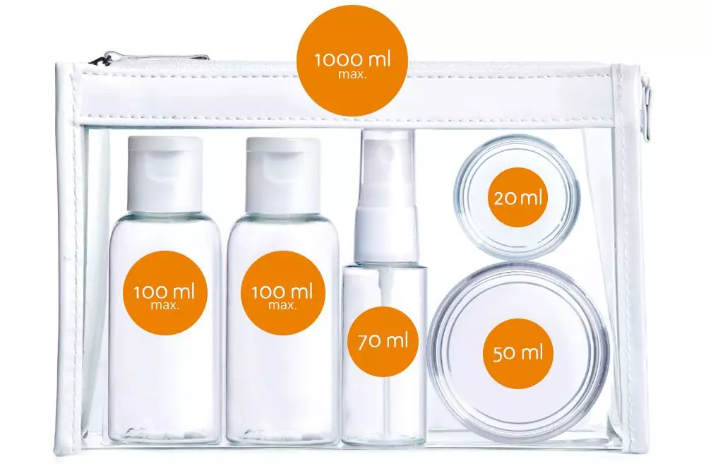 Ручная кладь и багаж в «Райнэйр»