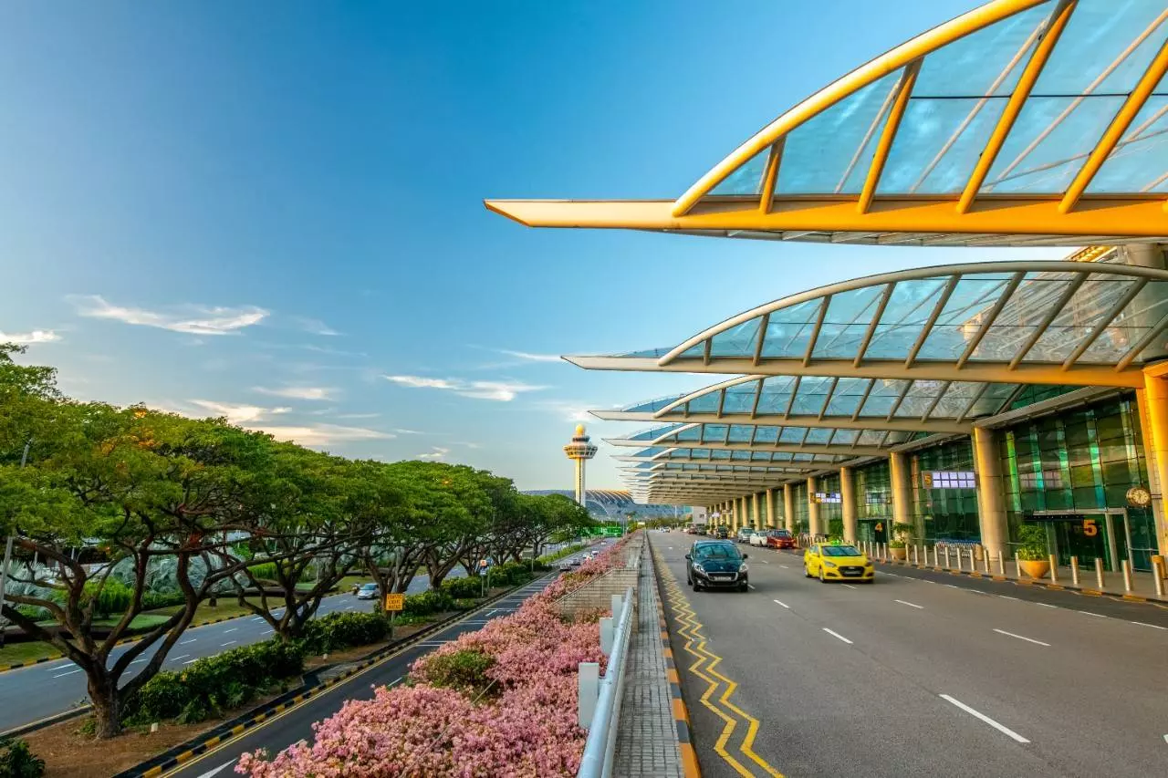 Чем заняться в сингапурском аэропорту чанги (singapore changi airport)