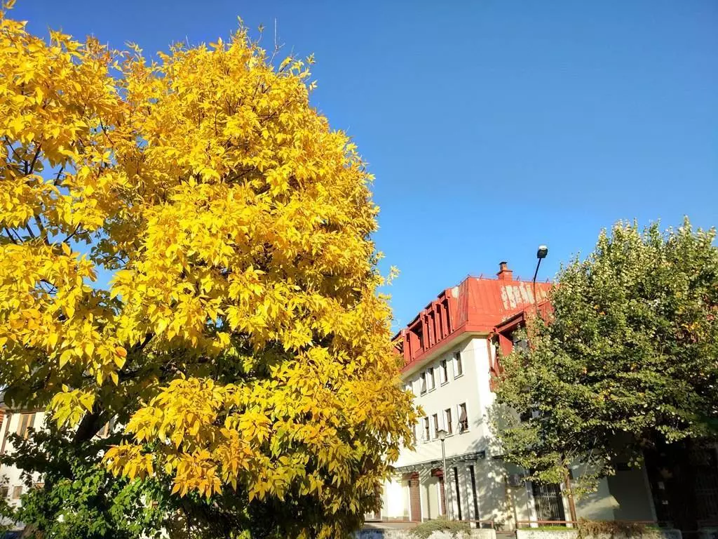Погода в Черногории в сентябре