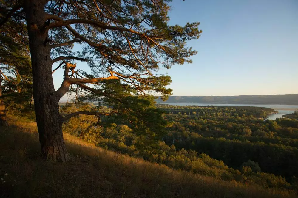Куда съездить и что посмотреть в Самарской области