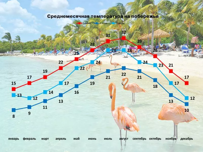 Погода в тунисе по месяцам - температура воды и воздуха 2020