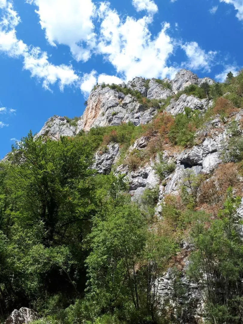 Рафтинг в Черногории на реке Тара