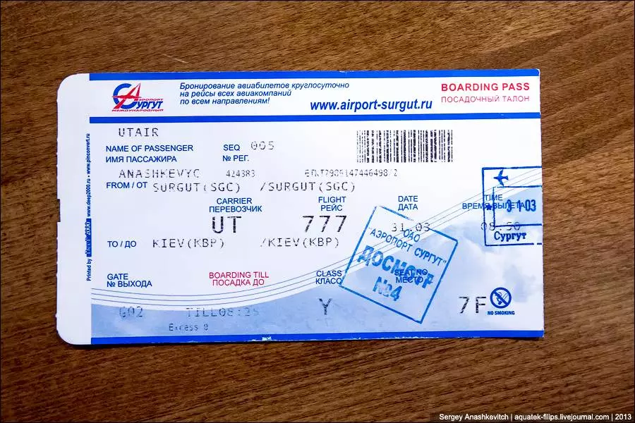 Посадочный талон на самолет: образец, как распечатать в аэропорту, восстановить для отчета по билету на самолет