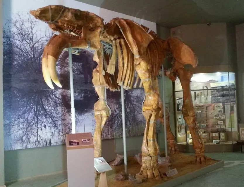 Ростовская область: что посмотреть и куда съездить