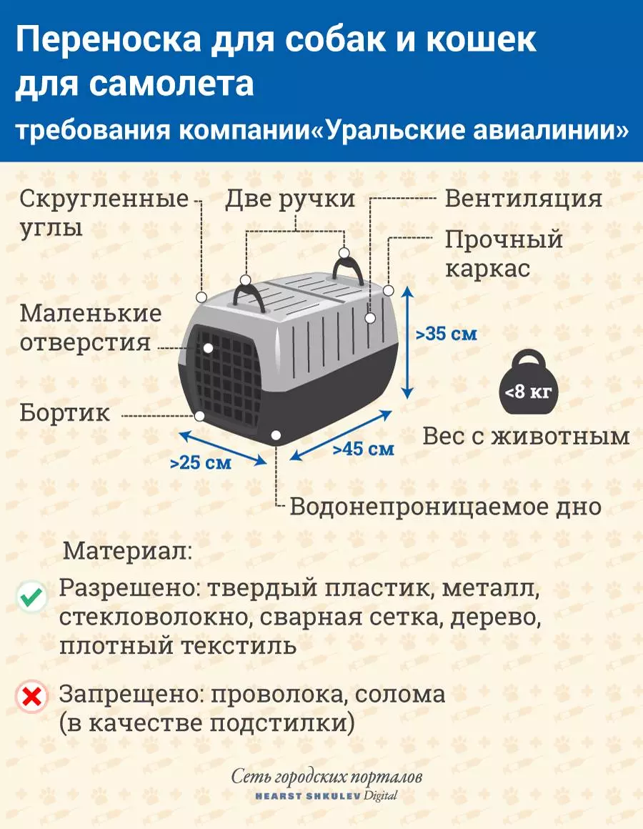 Как нужно правильно перевозить собаку самолетом по россии и за границу