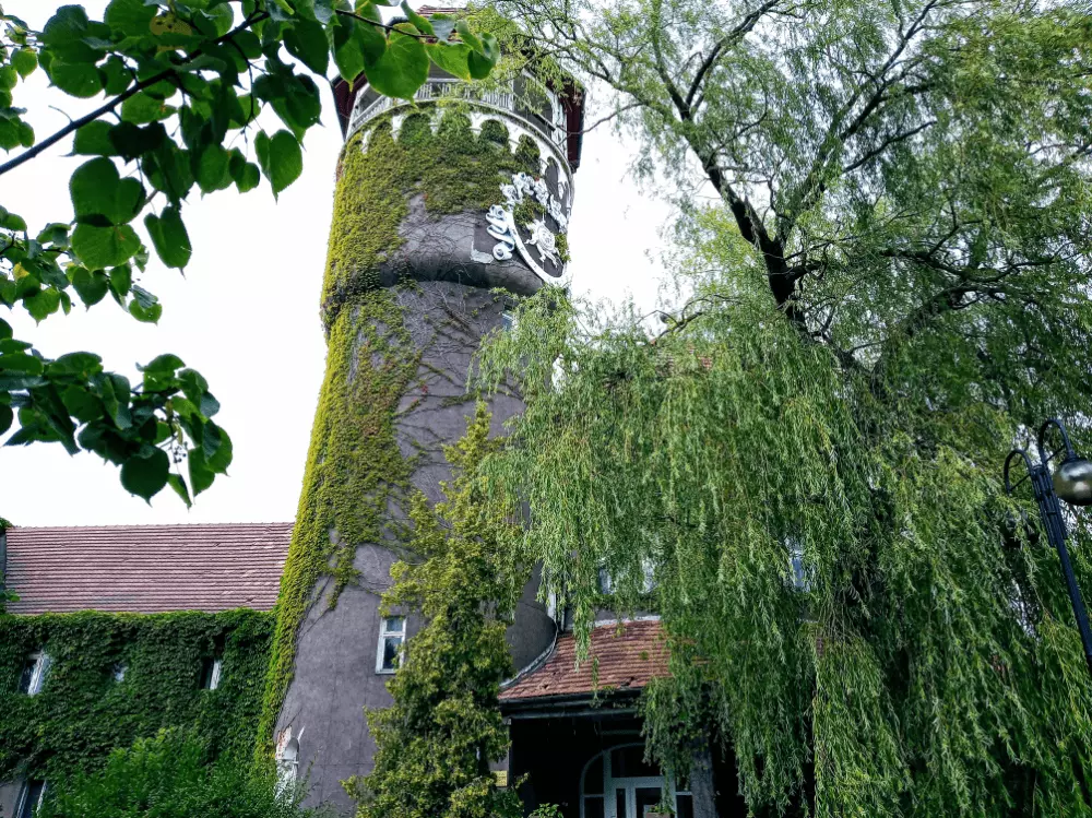 Путеводитель по Светлогорску Калининградской области