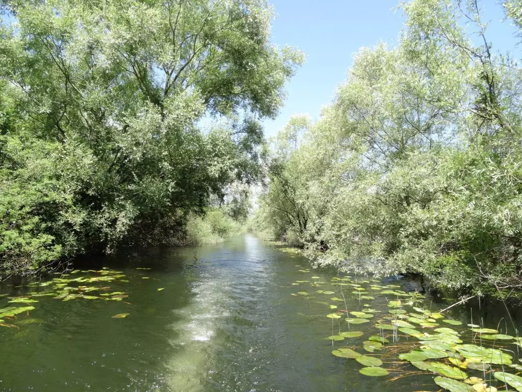 Форт Лесендро