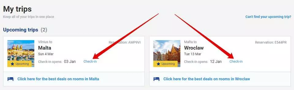 Авиакомпания Ryanair: регистрация на рейс и новые правила 2019 года