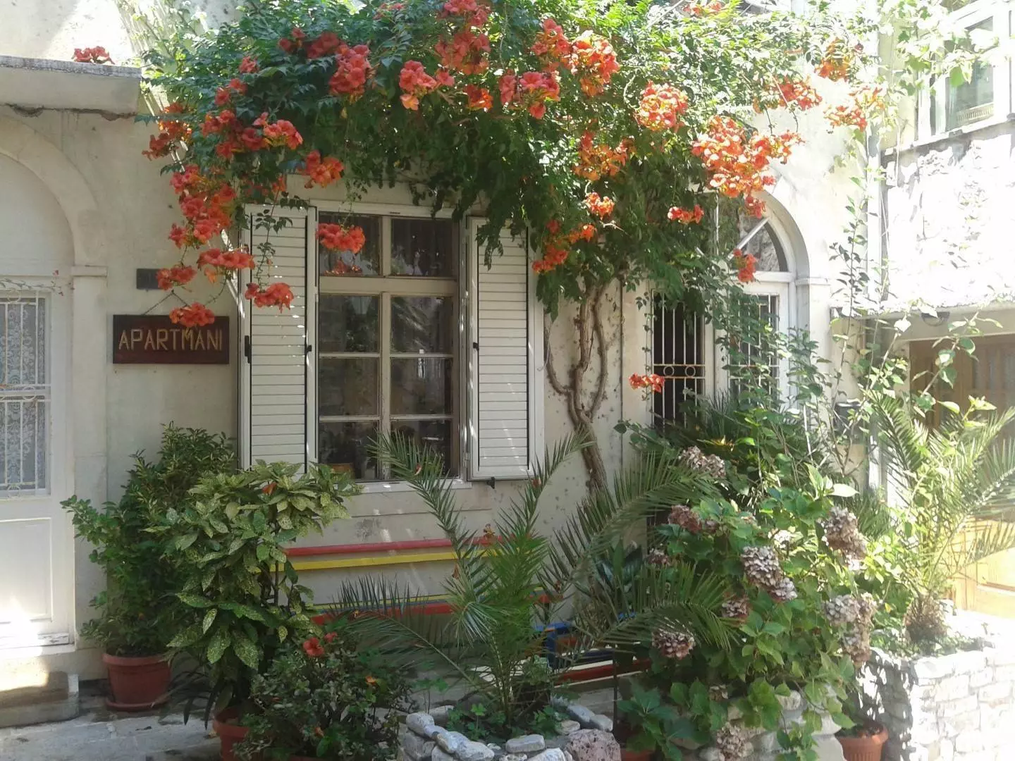 Климат Черногории