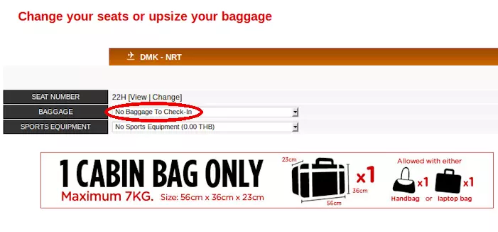 Как правильно пройти регистрацию на рейс АЗАЛ (Азербайджанских Авиалиний)