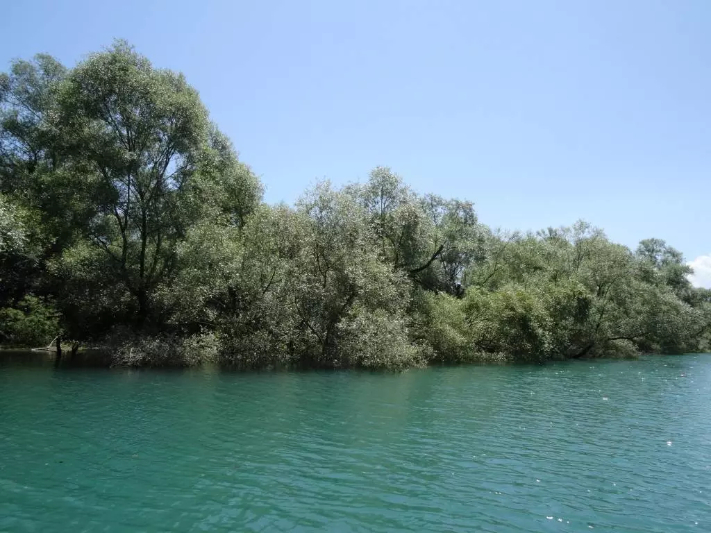 Форт Лесендро