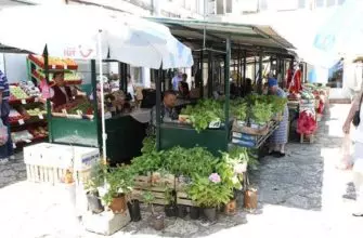 Рынок в Герцег-Нови