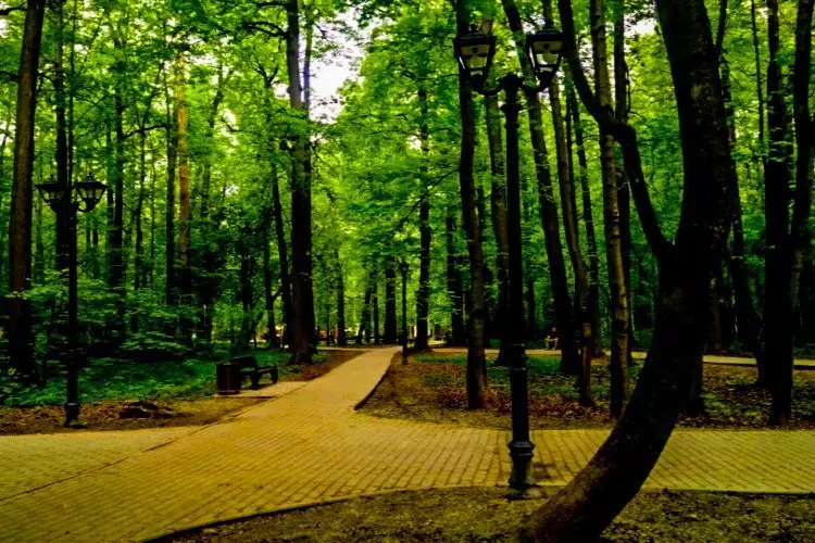 Филёвский парк является одним из самых известных и посещаемых парков Москвы.