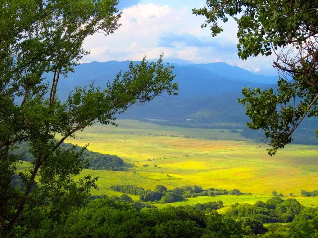 Туризм в регионах Южного федерального округа России