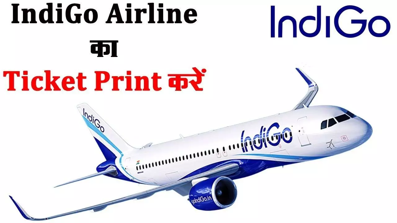 Indigo airlines - вики