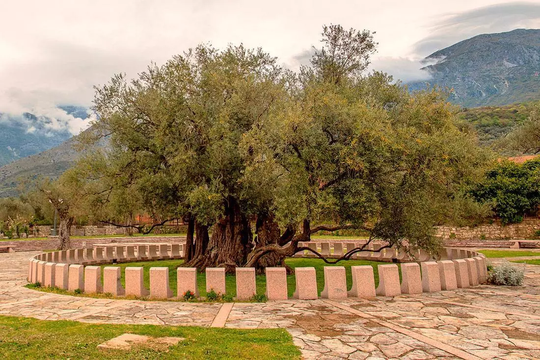 Где поесть в Черногории