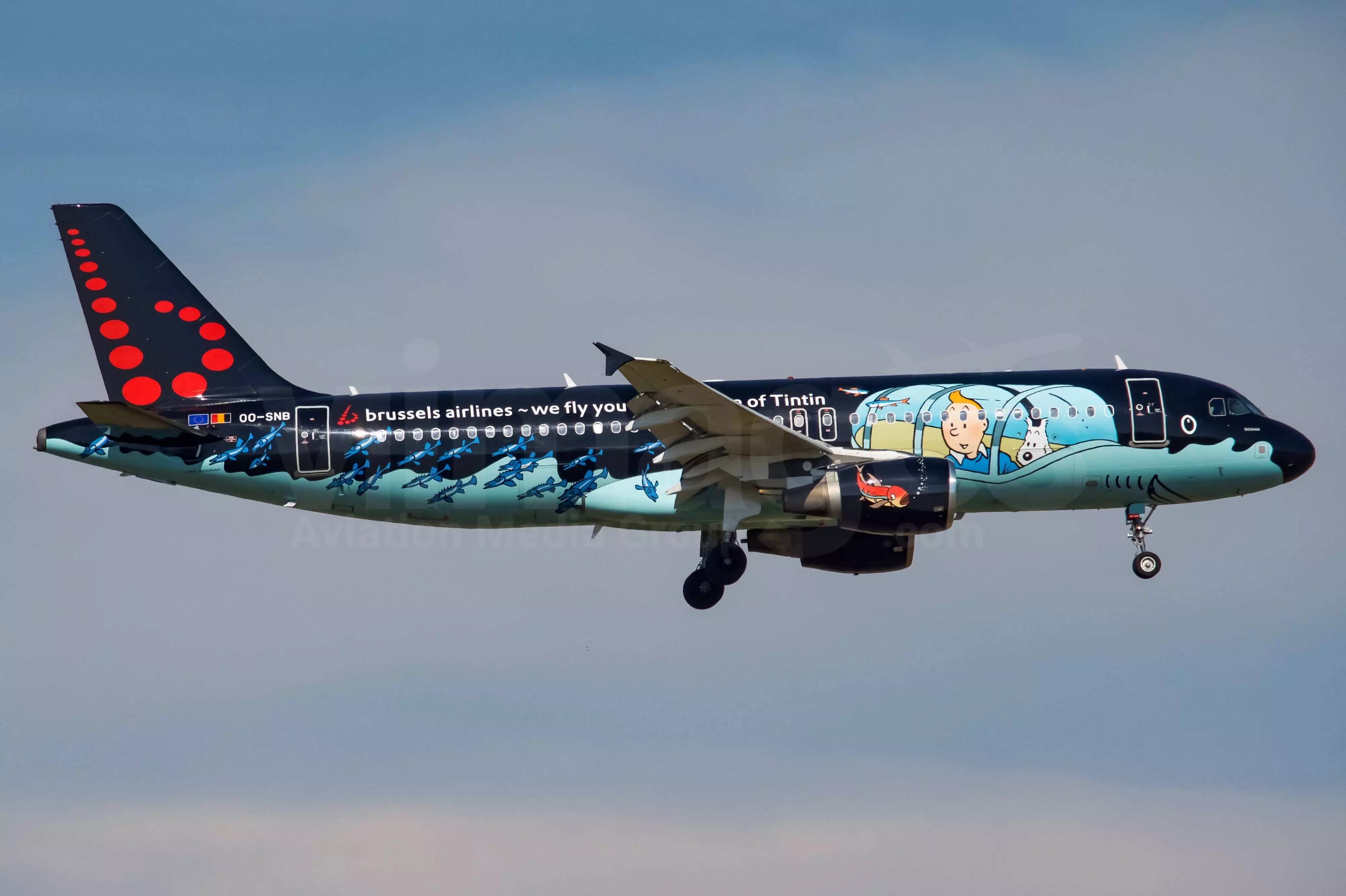 Brussels airlines