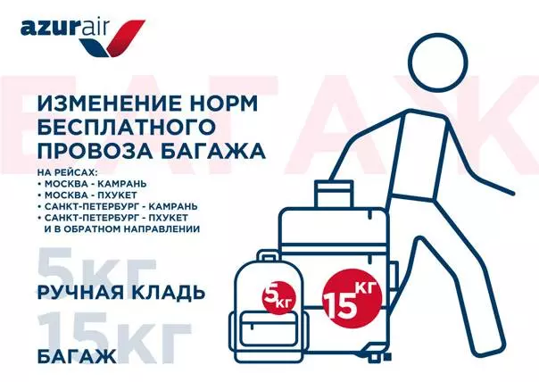 Чешские авиалинии (czech airlines), правила провоза багажа