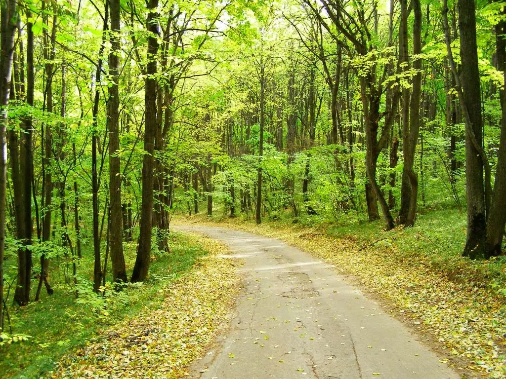 Куда съездить и что посмотреть в Самарской области
