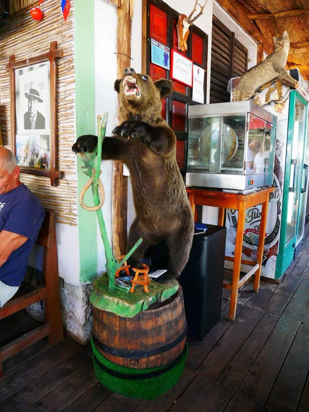 Рафтинг в Черногории на реке Тара