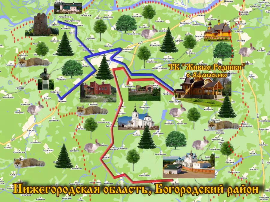 На машине по россии: лучшие маршруты для путешествий — суточно.ру