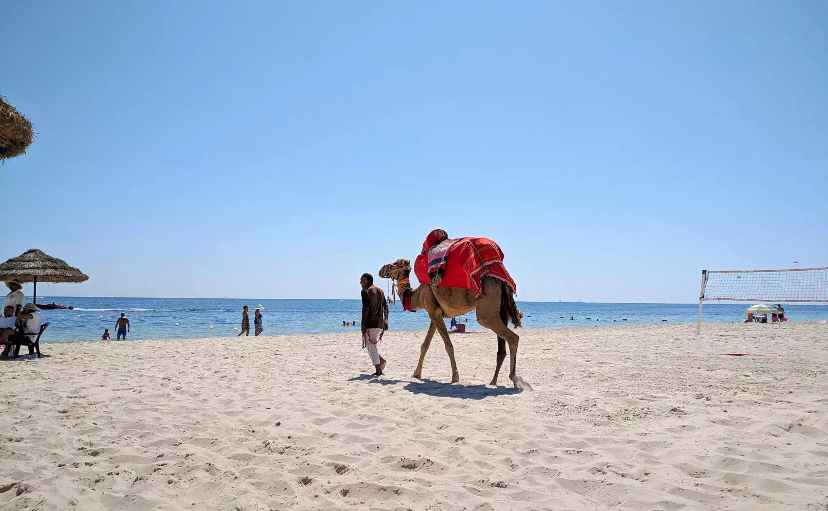 Где лучше всего отдохнуть в тунисе: климат, пляжи, экскурсии, достопримечательности