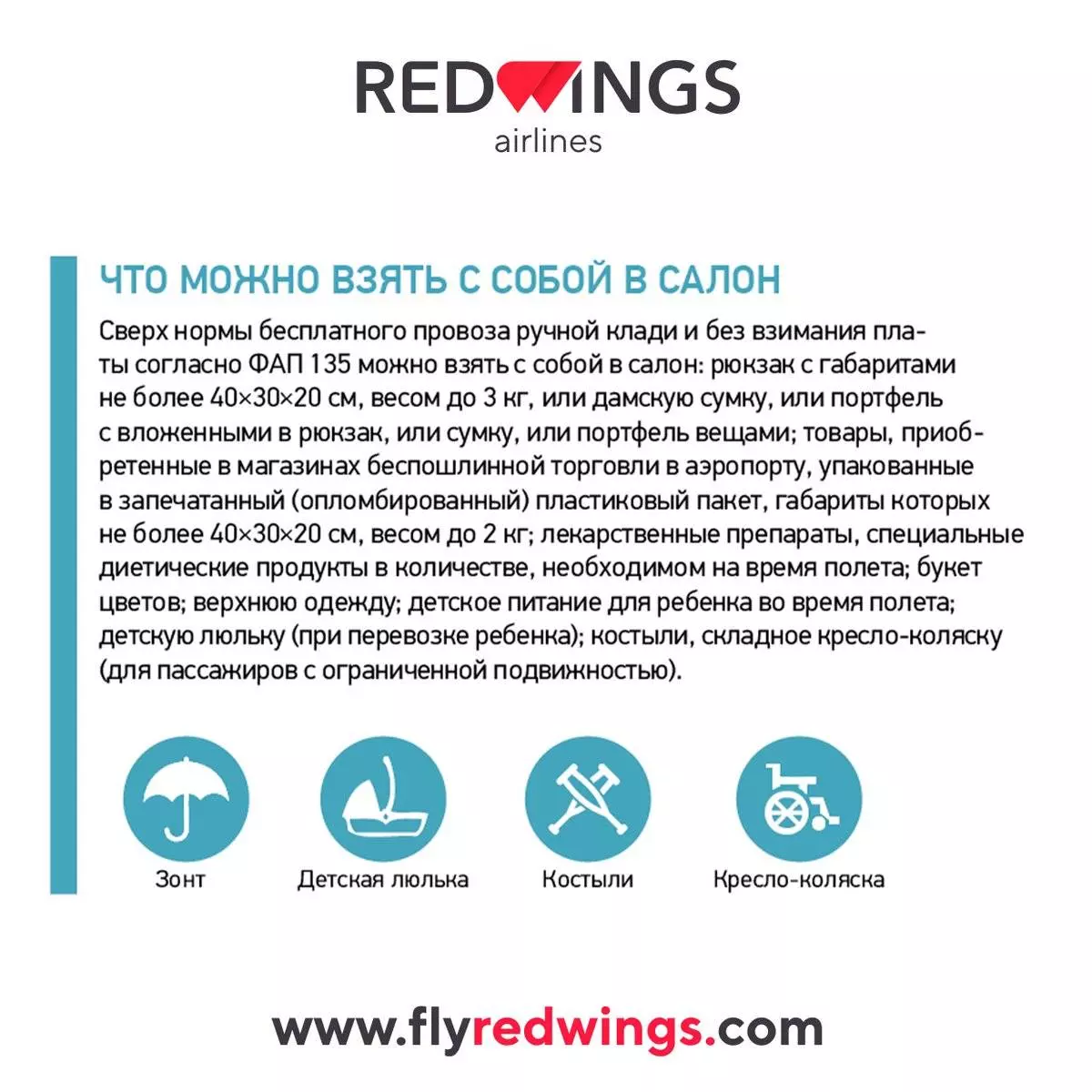 Red wings — нормы багажа и ручной клади