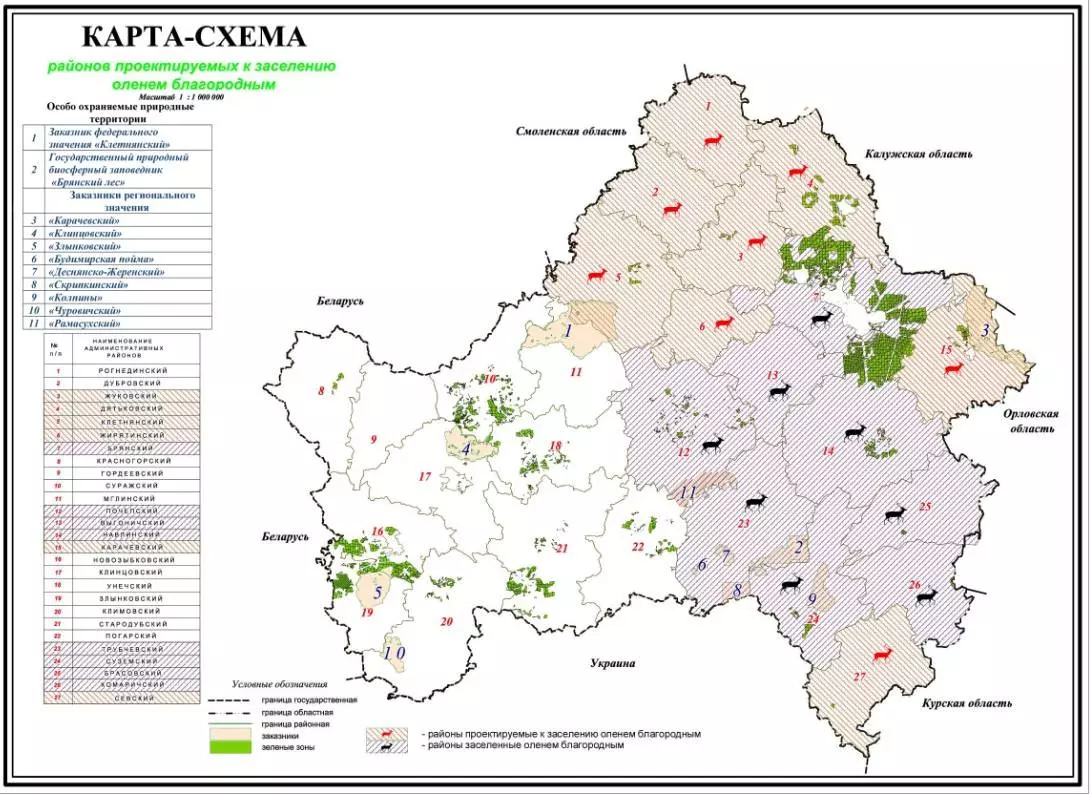Заповедник брянский лес: животные и растения, где находится, карта, грибы, птицы, фото