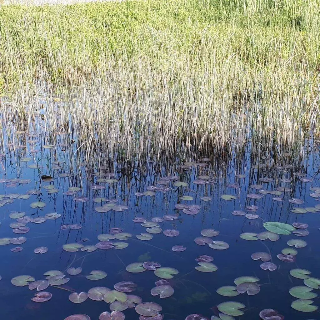 Форт Лесендро