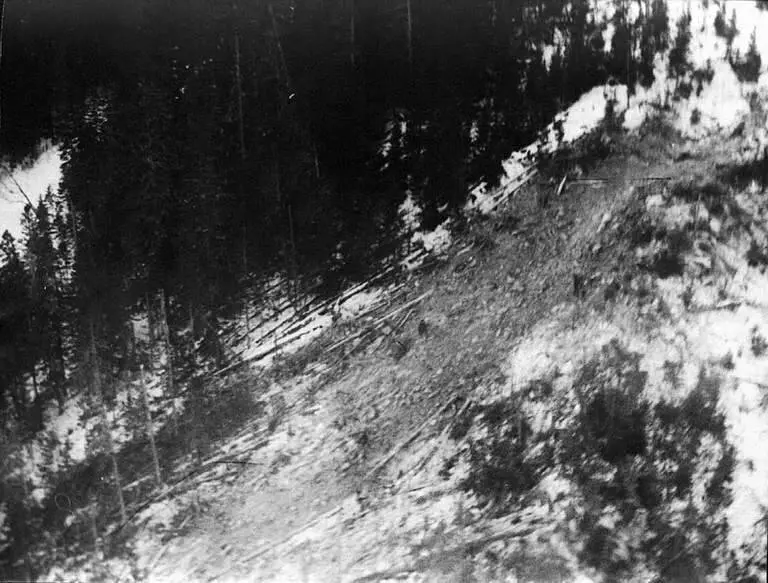 Катастрофа ту-154 под хабаровском