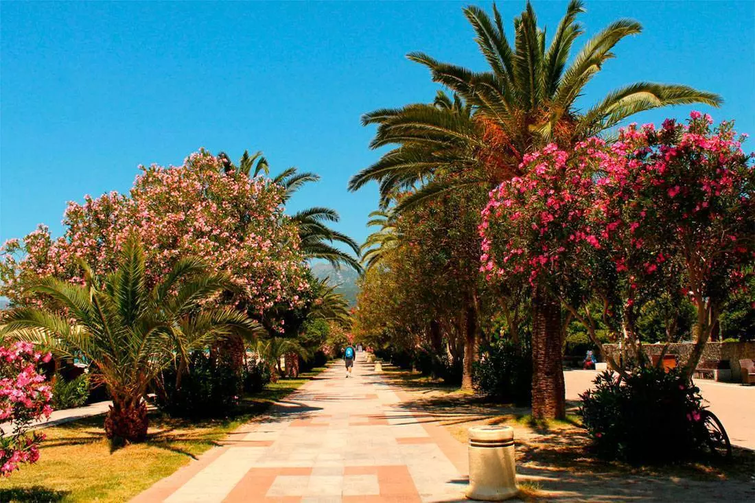 Где поесть в Черногории