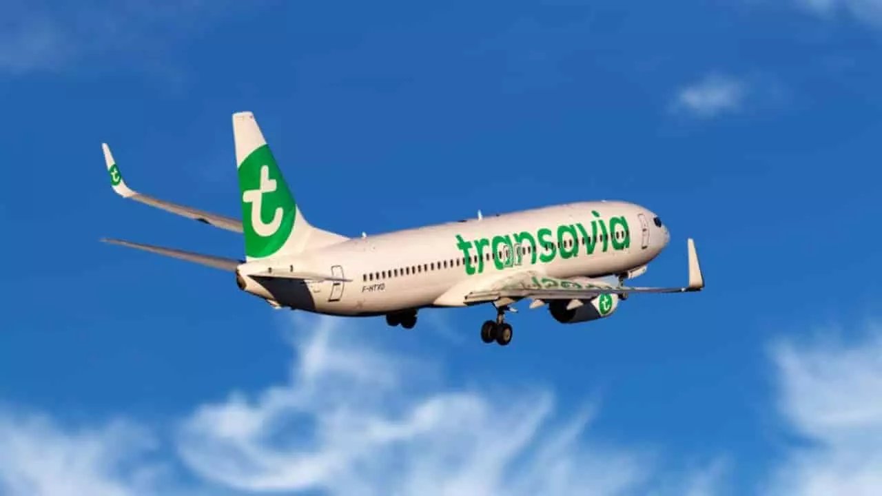 Авиакомпания трансавиа эйрлайнз (transavia airlines)