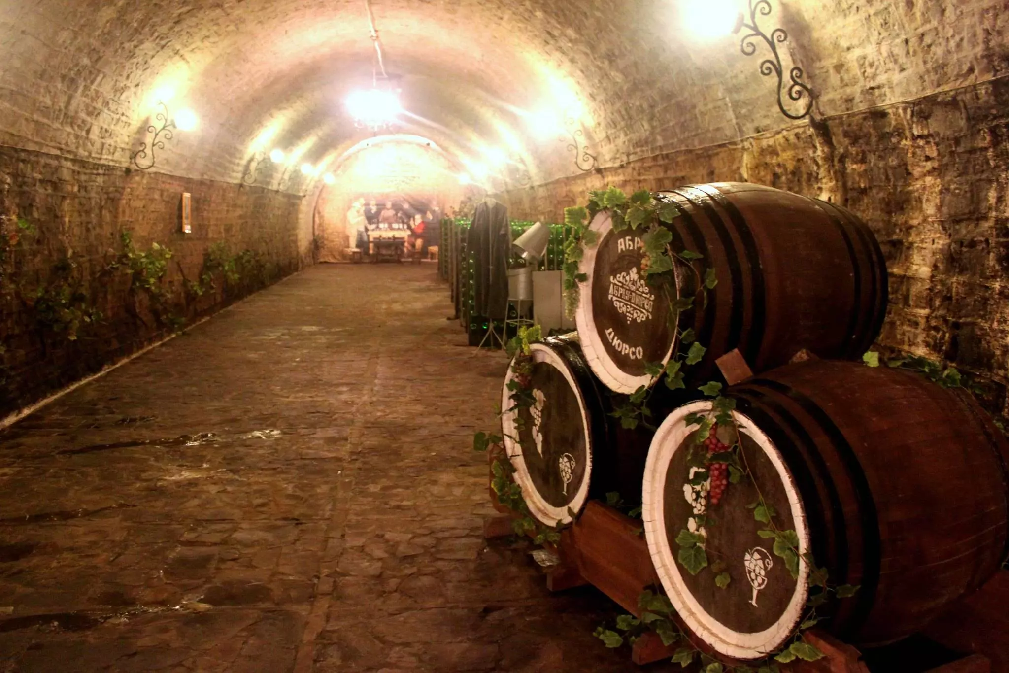 Завод шампанских вин абрау дюрсо (фото): где находится, адрес, цены на посещение
