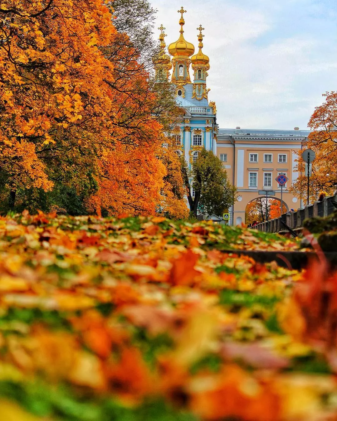 Осень в санкт-петербурге: топ-10 интересных мест для осеннего путешествия