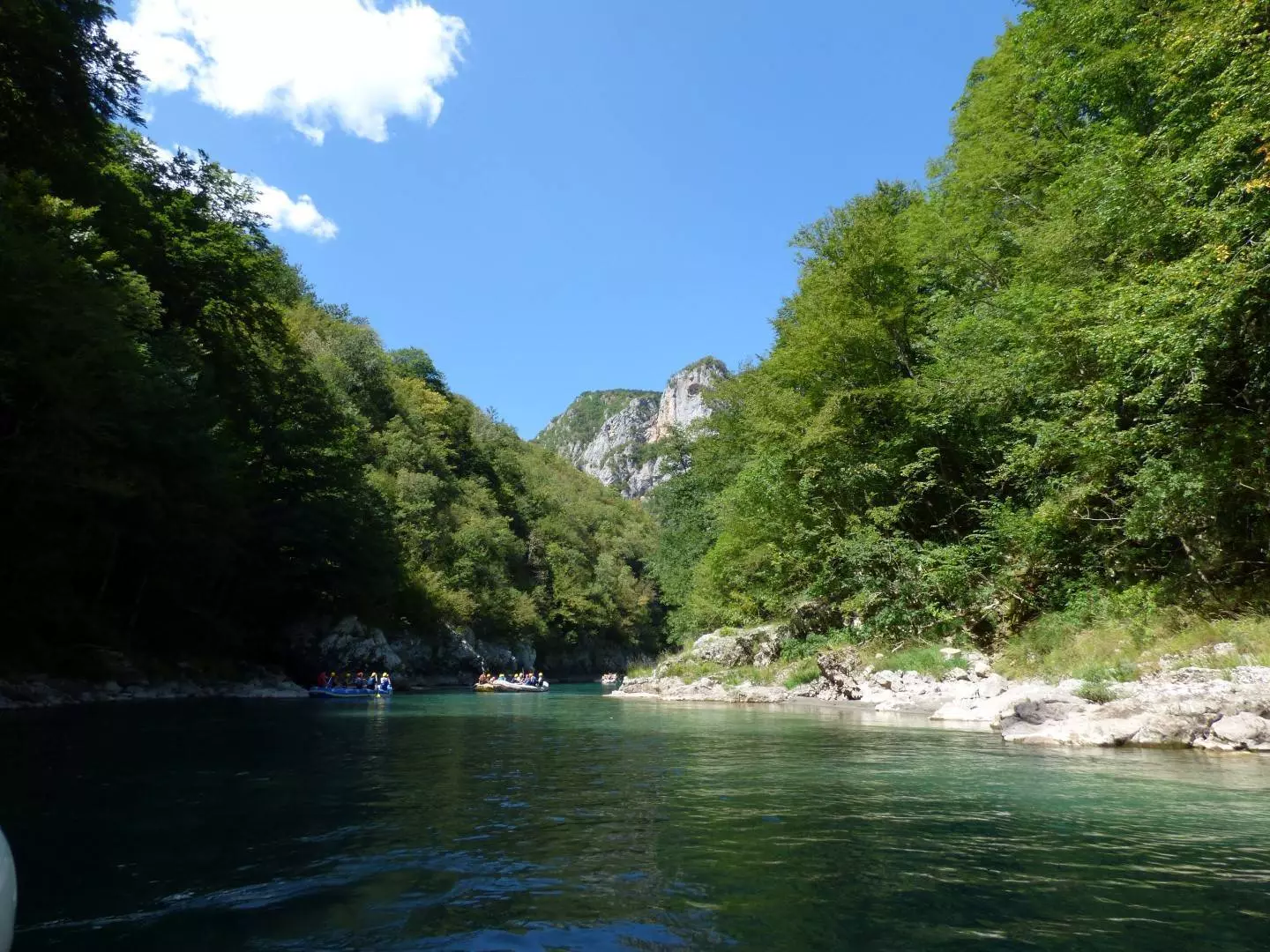 Рафтинг в Черногории на реке Тара