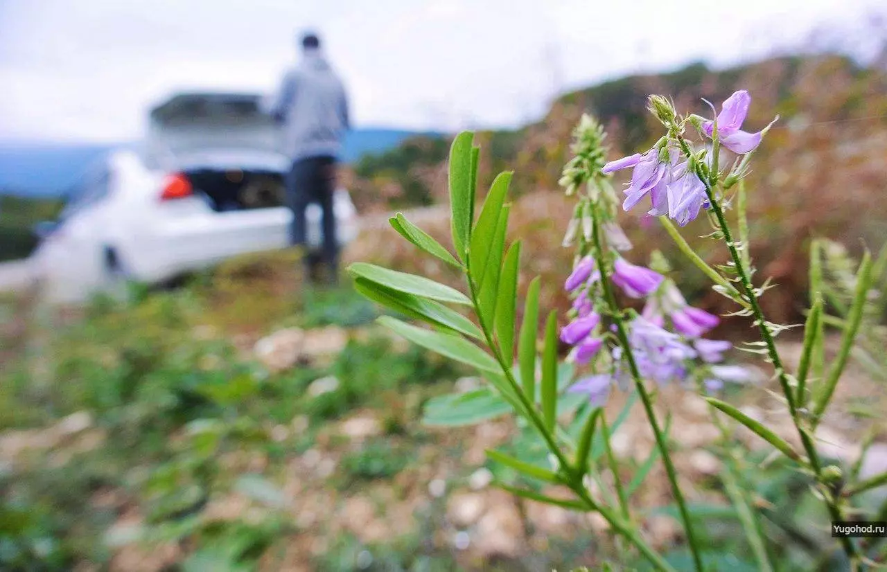 Орлиная полка: не сложный и очень красивый маршрут в Гуамском ущелье