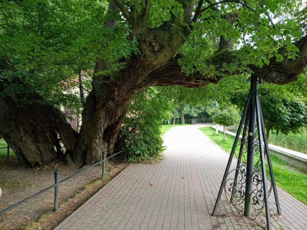 Путеводитель по Светлогорску Калининградской области