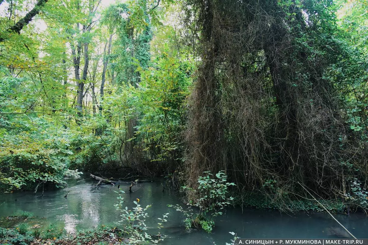 Что посмотреть в Дербенте за один день: главные достопримечательности
