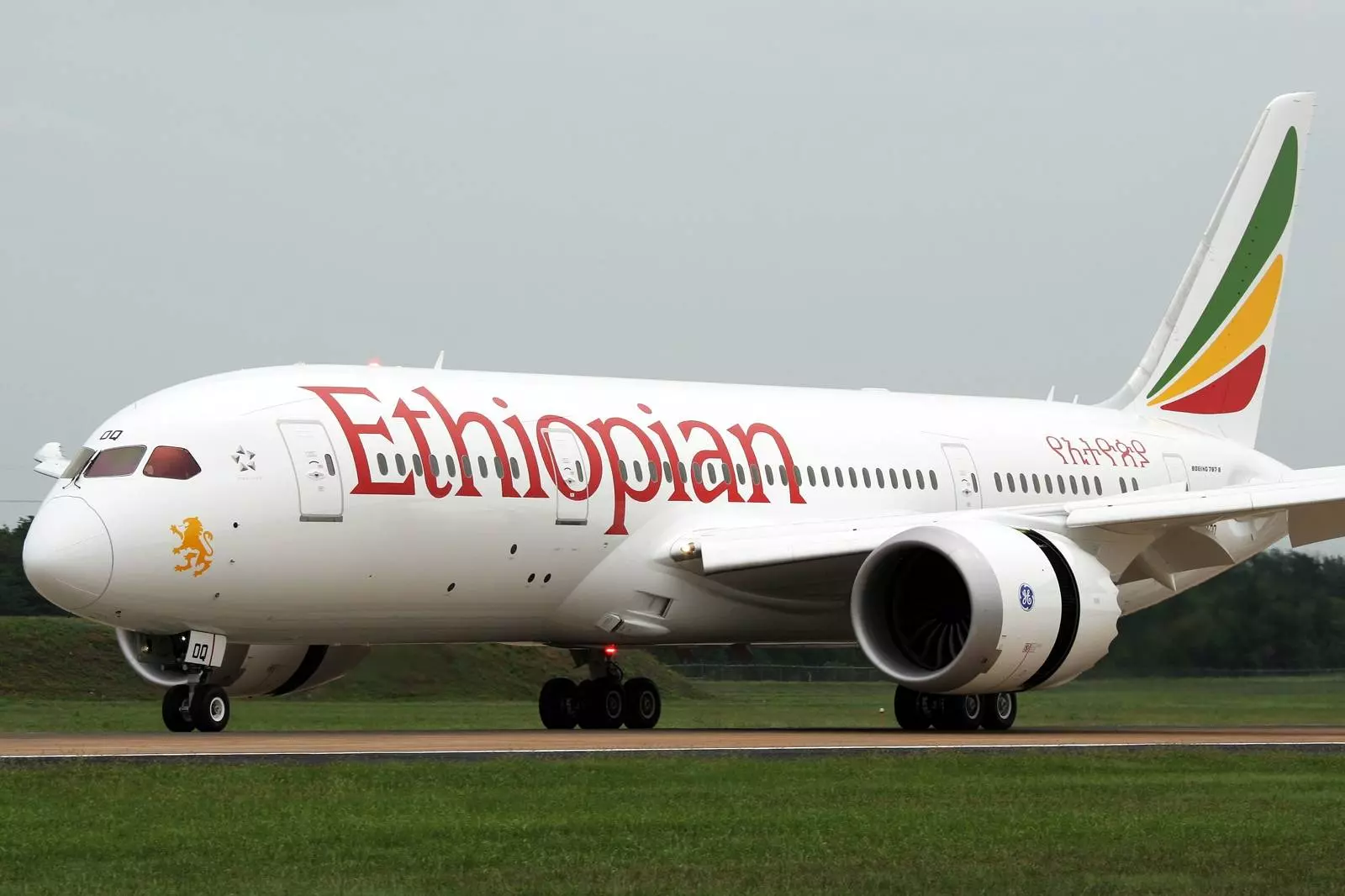Ethiopian airlines (эфиопиан эйрлайнс): обзор авиакомпании - представителя эфиопских авиалиний, оказываемые услуги и цены, направления перелетов из эфиопии