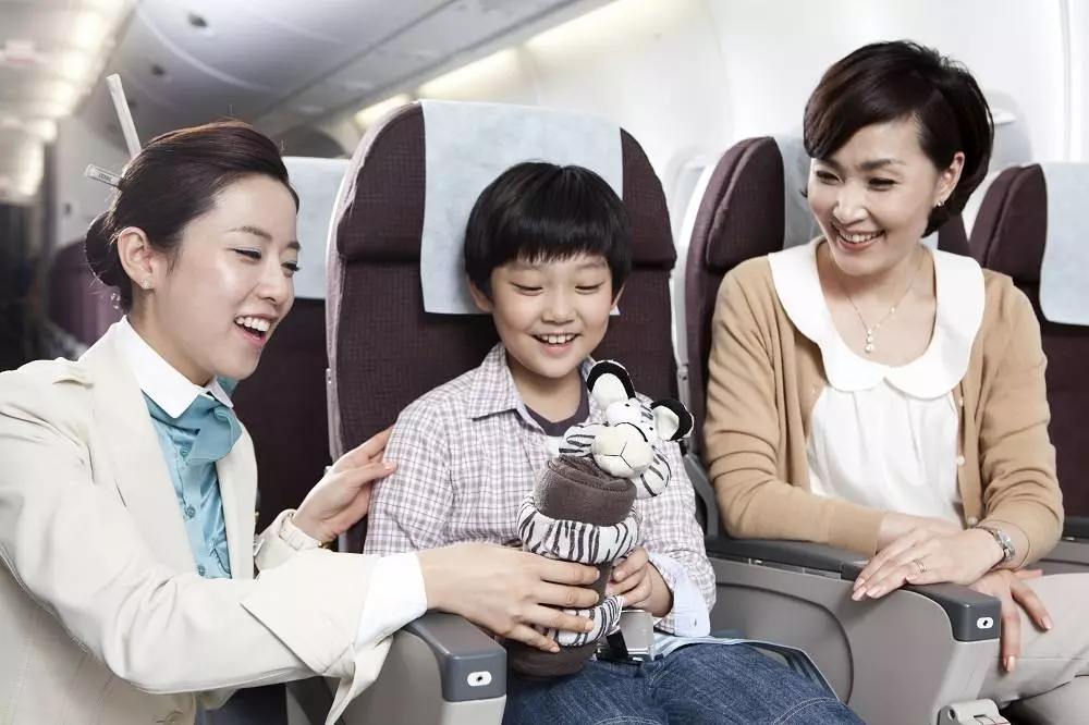 Билеты на рейсы korean air 2020/21 на скайсканере 2020/21