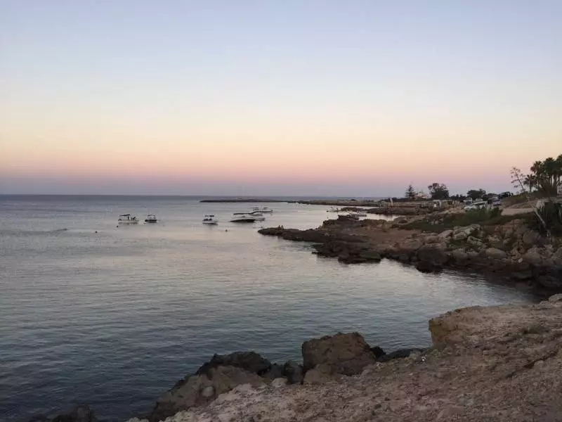 Время полета Белгород Тунис