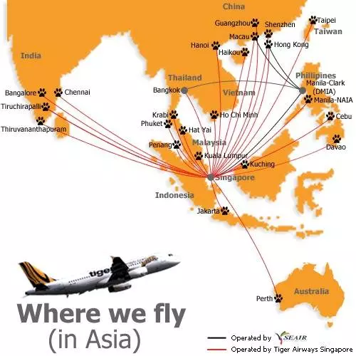 Wikihr > tiger airways holdings