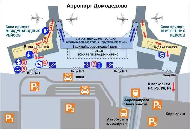 Терминалы аэропорта Домодедово: схема