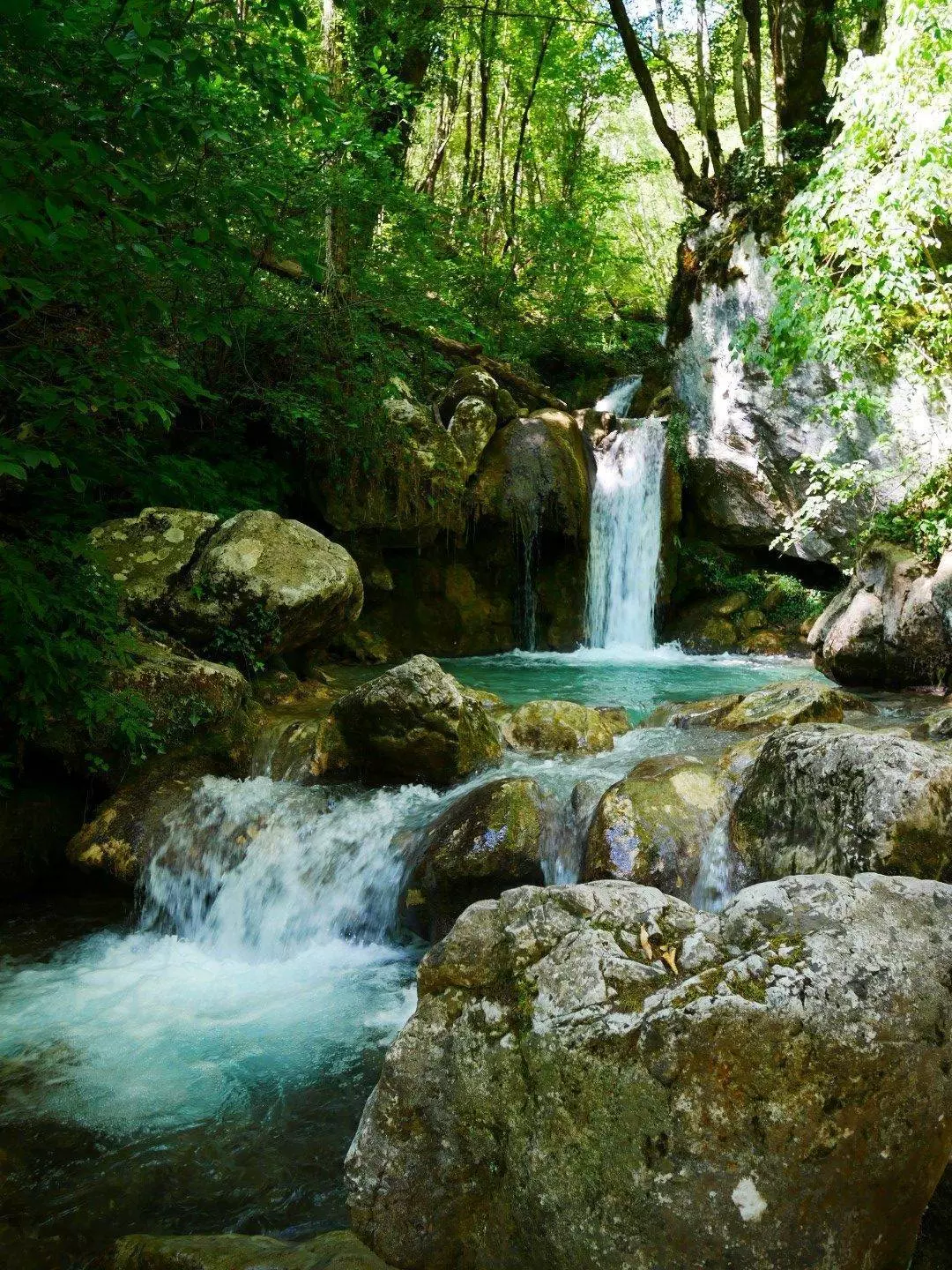 Рафтинг в Черногории на реке Тара