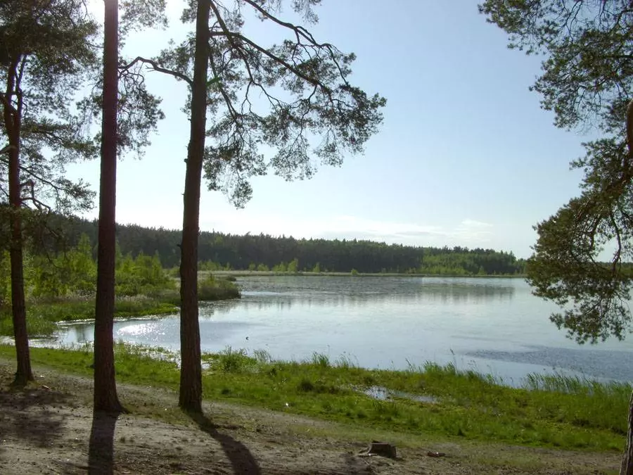 На финском заливе в районе устья мог быть древний аванпорт / маяк. сосновый бор. ленобласть.